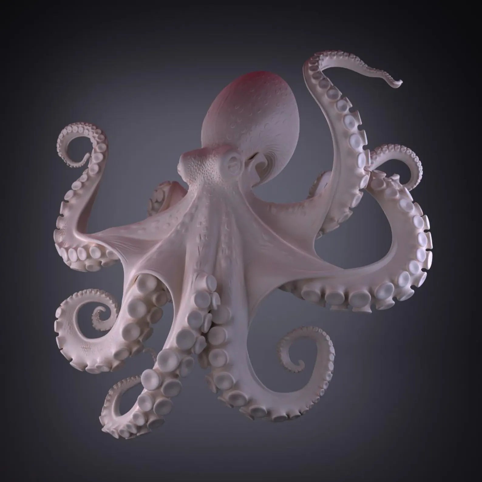 Kraken Veridis - Vista frontale render rosa