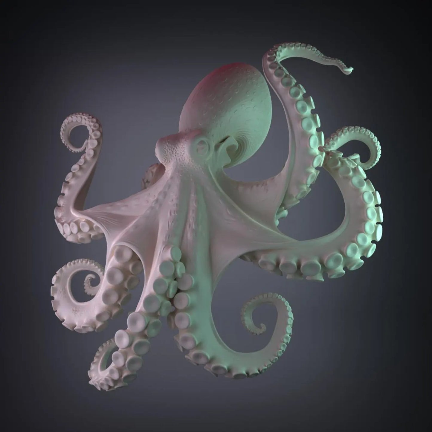 Kraken Veridis - Render bicolore rosa e verde