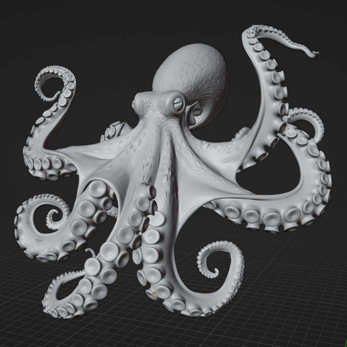 Kraken Veridis - Modello 3D dettaglio ventose