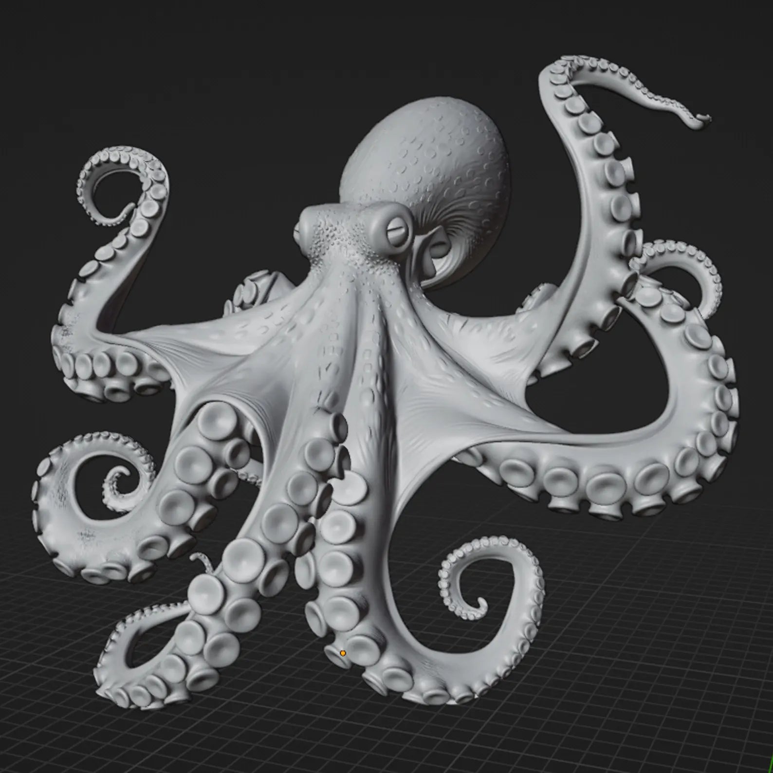 Kraken Veridis - Modello 3D dettaglio ventose