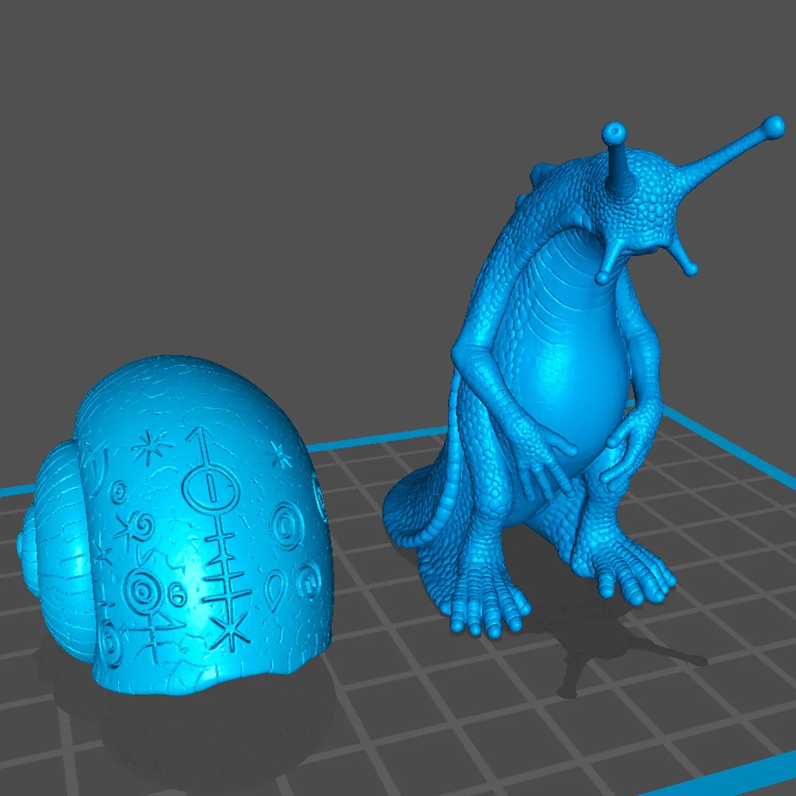 Gastrophor - Modello 3D blu con guscio separato