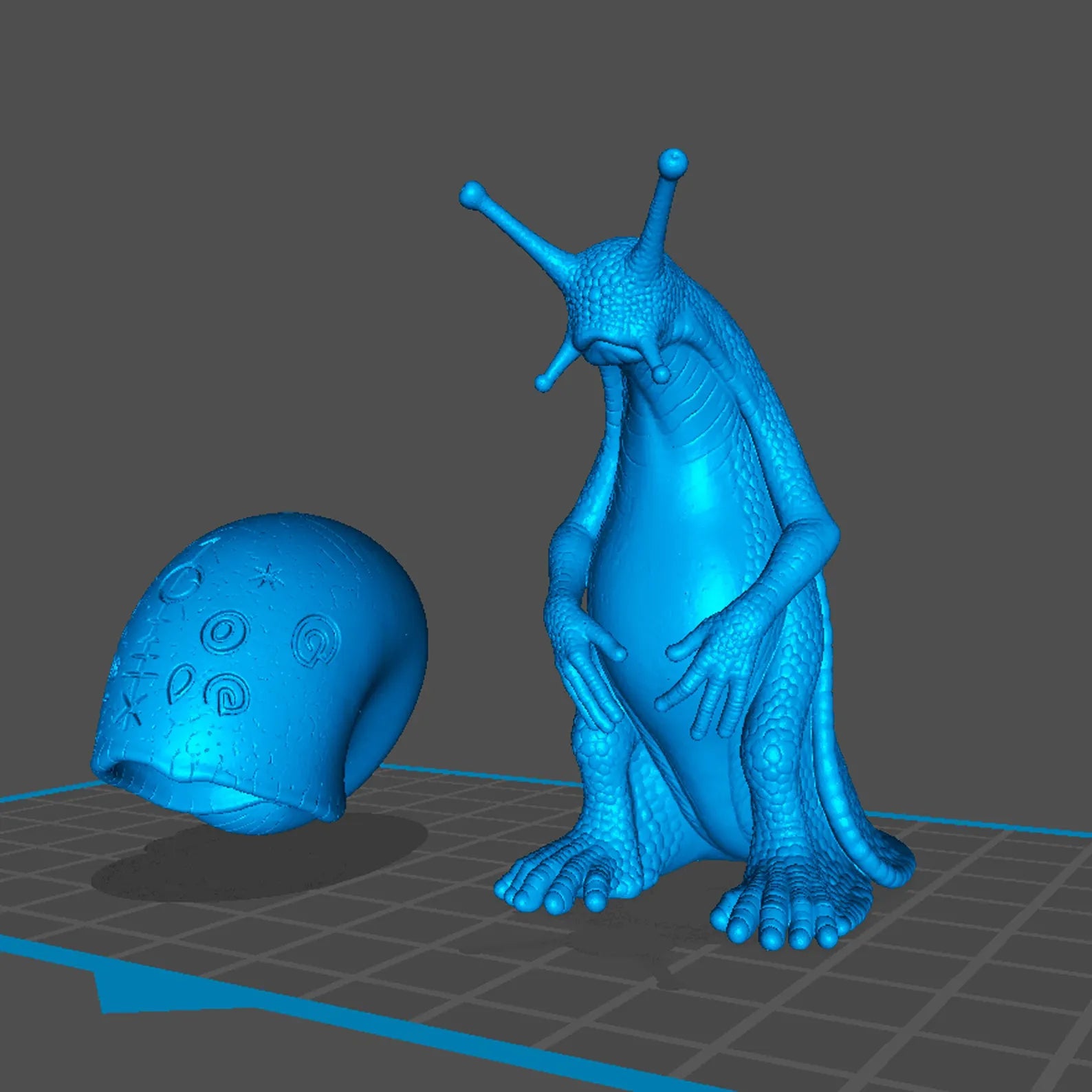 Gastrophor - Modello 3D blu vista laterale